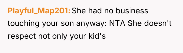 Playful_Map201 She had no business touching your son anyway: NTA...