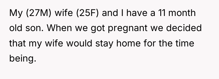 My (27M) wife (25F) and I have a 11 month...