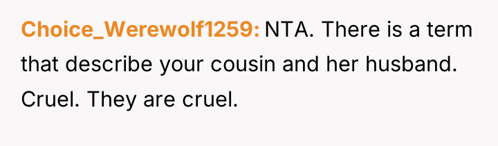 Choice_Werewolf1259 NTA. There is a term that describe your cousin...