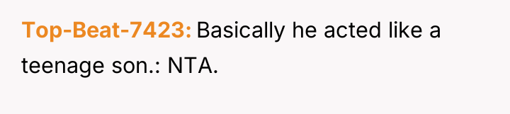 Top-Beat-7423 Basically he acted like a teenage son.: NTA.