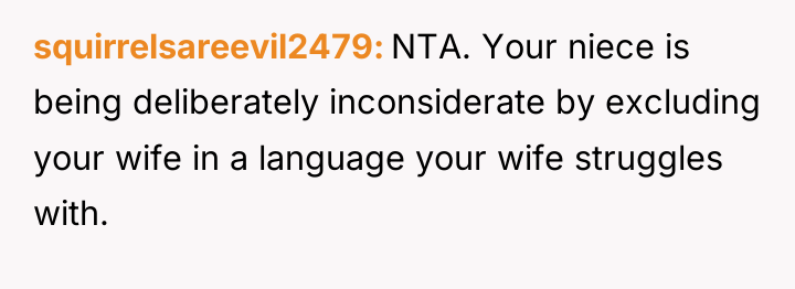 squirrelsareevil2479 NTA. Your niece is being deliberately inconsiderate by excluding...