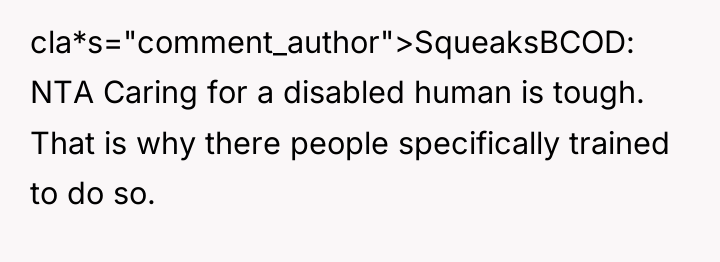cla*s="comment_author">SqueaksBCOD: NTA Caring for a disabled human is tough. That...