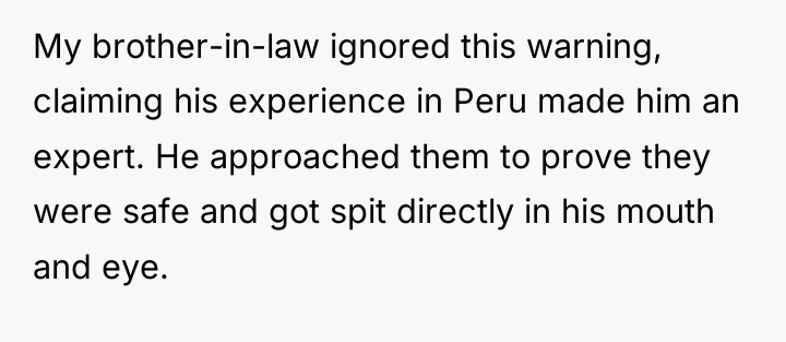 My brother-in-law ignored this warning, claiming his experience in Peru...