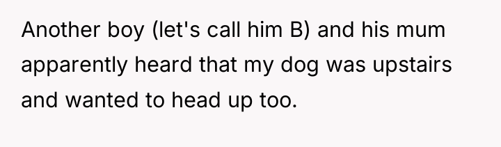 Another boy (let's call him B) and his mum apparently...