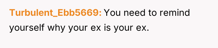 Turbulent_Ebb5669 You need to remind yourself why your ex is...