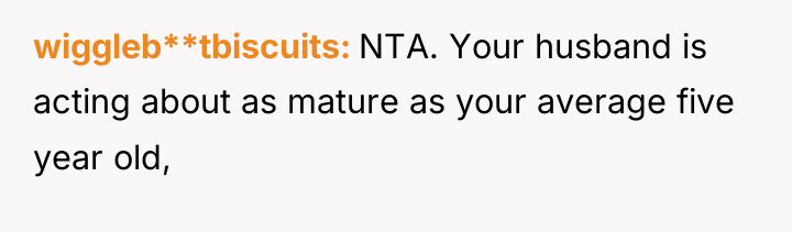 wiggleb**tbiscuits NTA. Your husband is acting about as mature as...