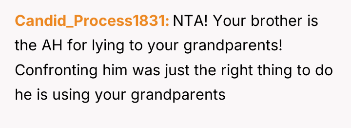 Candid_Process1831 NTA! Your brother is the AH for lying to...