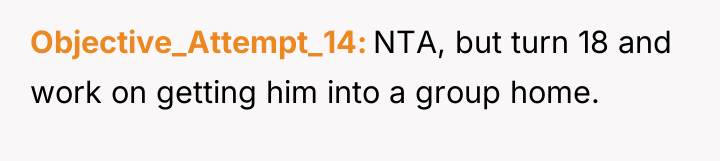 Objective_Attempt_14 NTA, but turn 18 and work on getting him...