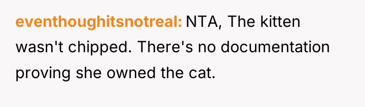 eventhoughitsnotreal NTA, The kitten wasn't chipped. There's no documentation proving...