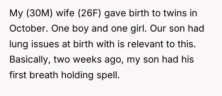 My (30M) wife (26F) gave birth to twins in October....