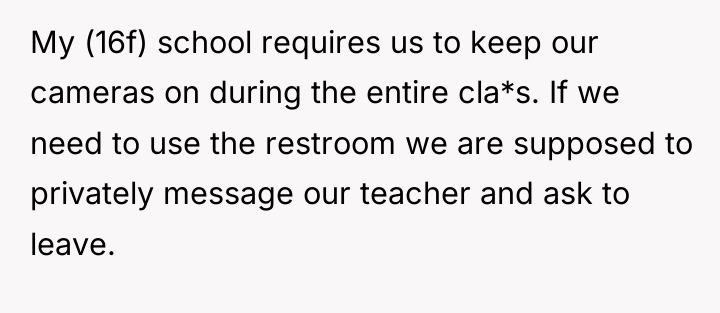 My (16f) school requires us to keep our cameras on...
