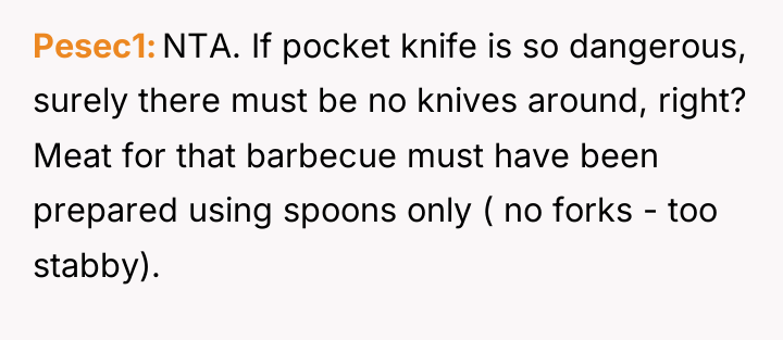 Pesec1 NTA. If pocket knife is so dangerous, surely there...
