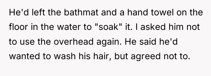 He'd left the bathmat and a hand towel on the...