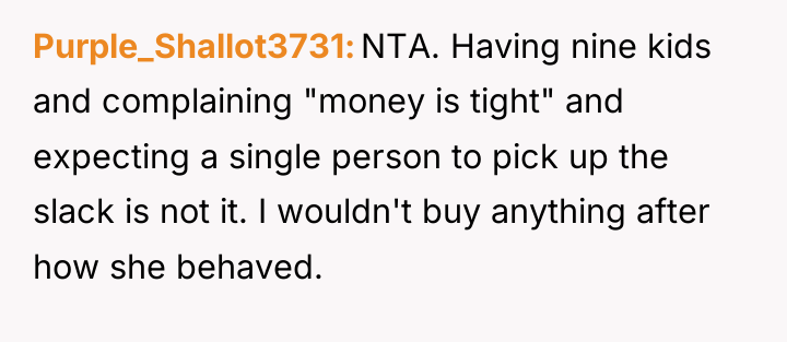 Purple_Shallot3731 NTA. Having nine kids and complaining "money is tight"...