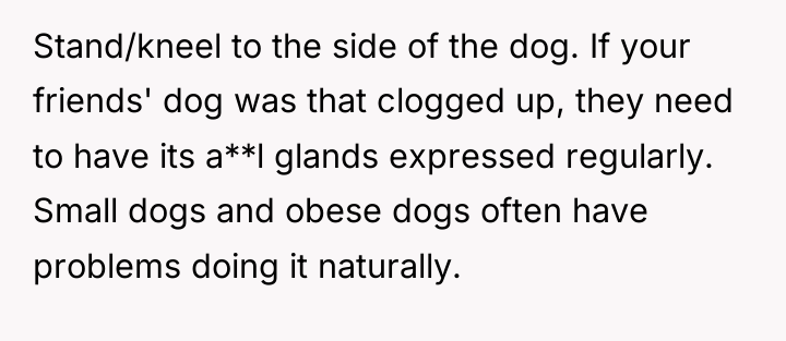 Stand/kneel to the side of the dog. If your friends'...
