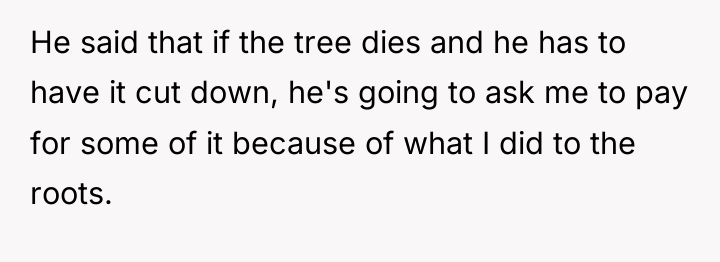 He said that if the tree dies and he has...