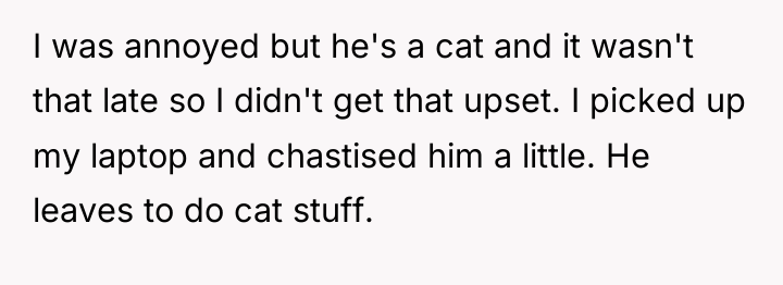 I was annoyed but he's a cat and it wasn't...