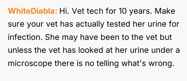 WhiteDiabla Hi. Vet tech for 10 years. Make sure your...