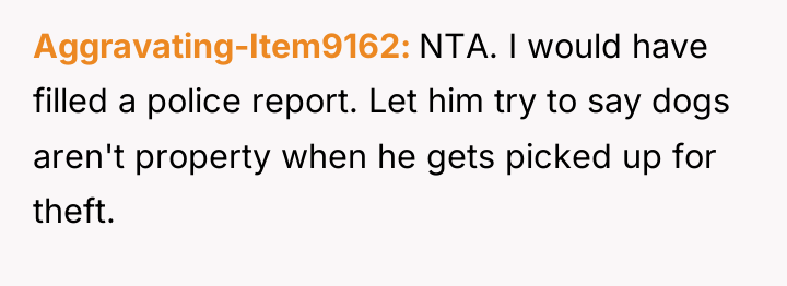 Aggravating-Item9162 NTA. I would have filled a police report. Let...
