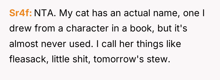 Sr4f NTA. My cat has an actual name, one I...