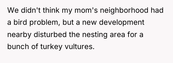 We didn't think my mom's neighborhood had a bird problem,...