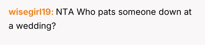 wisegirl19 NTA Who pats someone down at a wedding?