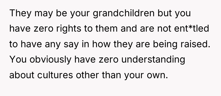 They may be your grandchildren but you have zero rights...