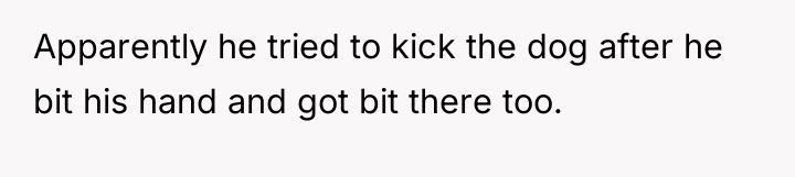 Apparently he tried to kick the dog after he bit...