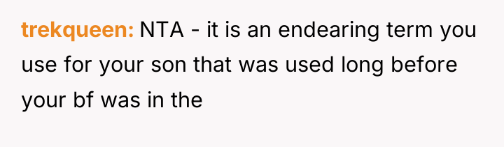 trekqueen NTA - it is an endearing term you use...