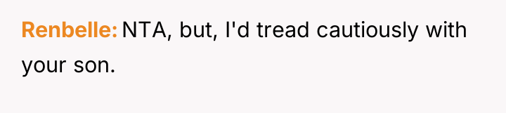 Renbelle NTA, but, I'd tread cautiously with your son.