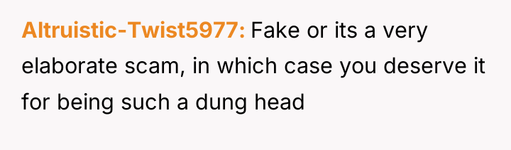 Altruistic-Twist5977 Fake or its a very elaborate scam, in which...