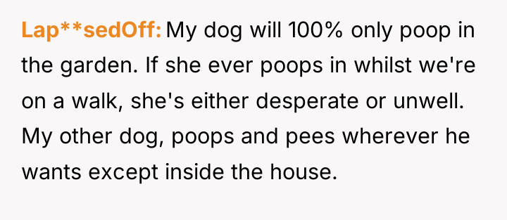Lap**sedOff My dog will 100% only poop in the garden....