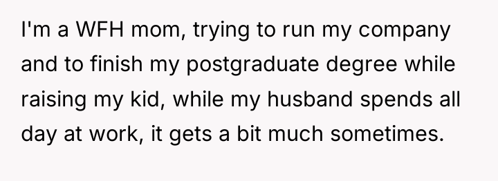 I'm a WFH mom, trying to run my company and...