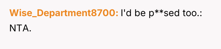Wise_Department8700 I'd be p**sed too.: NTA.
