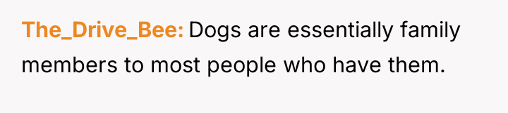 The_Drive_Bee Dogs are essentially family members to most people who...