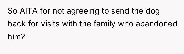 So AITA for not agreeing to send the dog back...