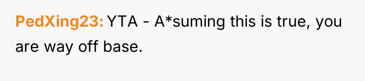 PedXing23 YTA - A*suming this is true, you are way...