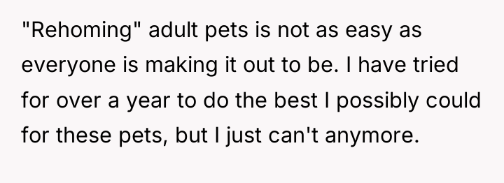 "Rehoming" adult pets is not as easy as everyone is...