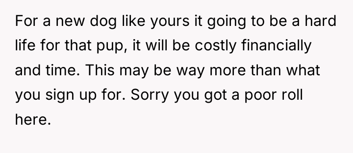 For a new dog like yours it going to be...