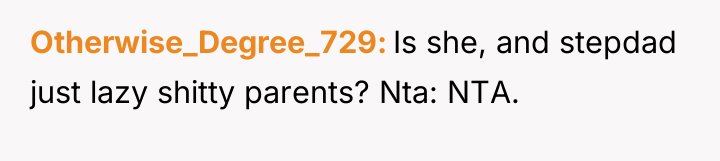 Otherwise_Degree_729 Is she, and stepdad just lazy shitty parents? Nta:...