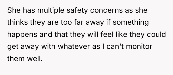 She has multiple safety concerns as she thinks they are...