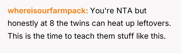 whereisourfarmpack You're NTA but honestly at 8 the twins can...