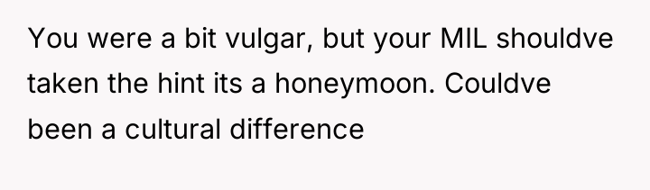 You were a bit vulgar, but your MIL shouldve taken...