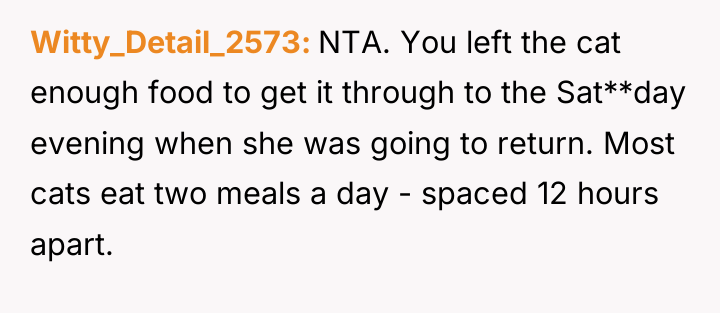 Witty_Detail_2573 NTA. You left the cat enough food to get...