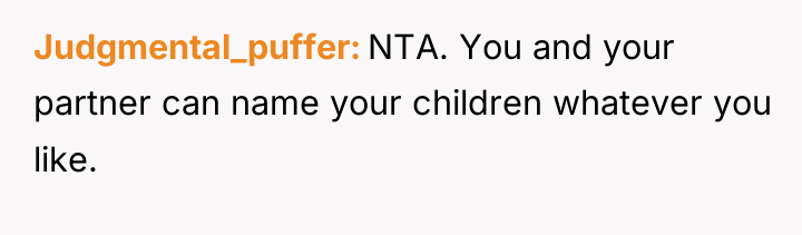 Judgmental_puffer NTA. You and your partner can name your children...