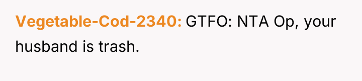 Vegetable-Cod-2340 GTFO: NTA Op, your husband is trash.
