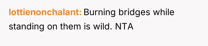 lottienonchalant Burning bridges while standing on them is wild. NTA