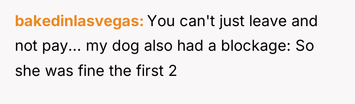bakedinlasvegas You can't just leave and not pay... my dog...