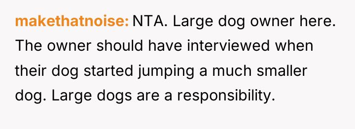 makethatnoise NTA. Large dog owner here. The owner should have...