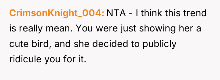 CrimsonKnight_004 NTA - I think this trend is really mean....